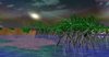 110485d1327757630-mangrove_small-editor.jpg