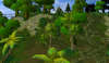 81638d1273551623-jungle-map-jungle2.png