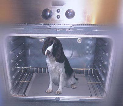 Dog-Oven2.jpg