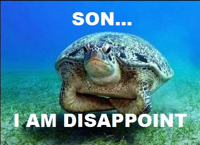 funny-pictures-turtle-is-disappointed.jpg