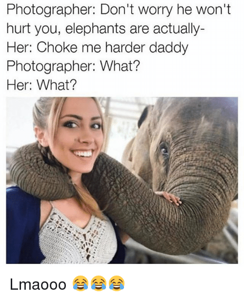 photographer-dont-worry-he-wont-hurt-you-elephants-are-actually-19705305.png