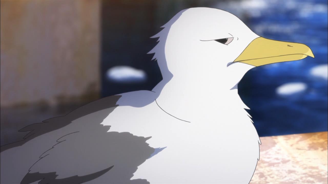 nagi-no-asukara-seagull-shifty-eyes-angry-stare.jpg