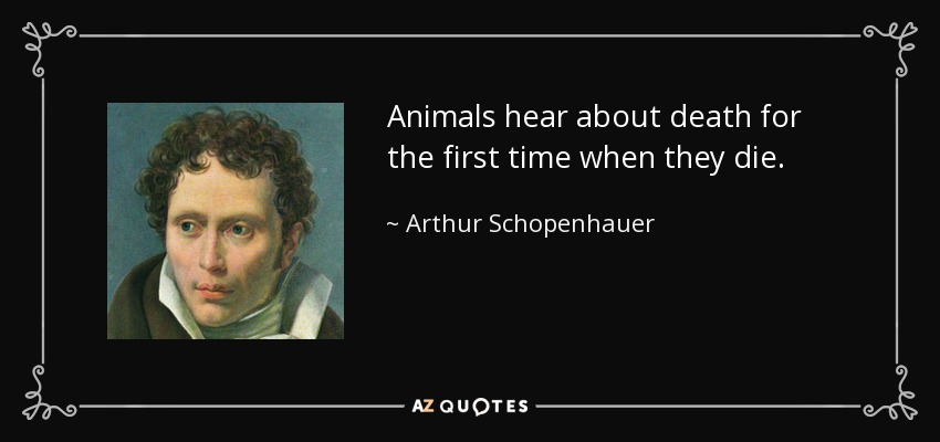 quote-animals-hear-about-death-for-the-first-time-when-they-die-arthur-schopenhauer-46-90-19.jpg