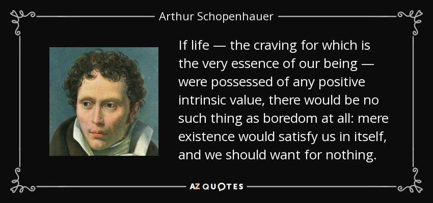 quote-if-life-the-craving-for-which-is-the-very-essence-of-our-being-were-possessed-of-any-arthur-schopenhauer-42-74-75.jpg
