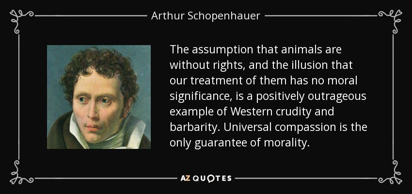 quote-the-assumption-that-animals-are-without-rights-and-the-illusion-that-our-treatment-of-arthur-schopenhauer-37-31-20.jpg