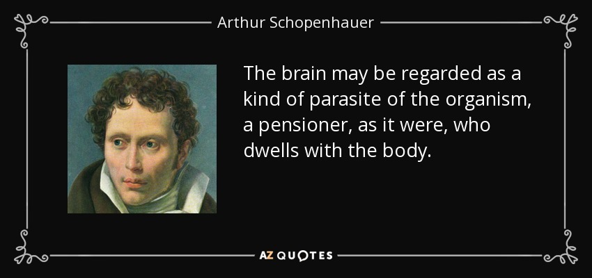 quote-the-brain-may-be-regarded-as-a-kind-of-parasite-of-the-organism-a-pensioner-as-it-were-arthur-schopenhauer-26-19-76.jpg