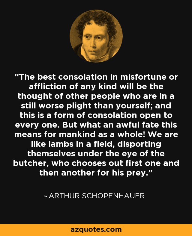 arthur-schopenhauer-463913.jpg
